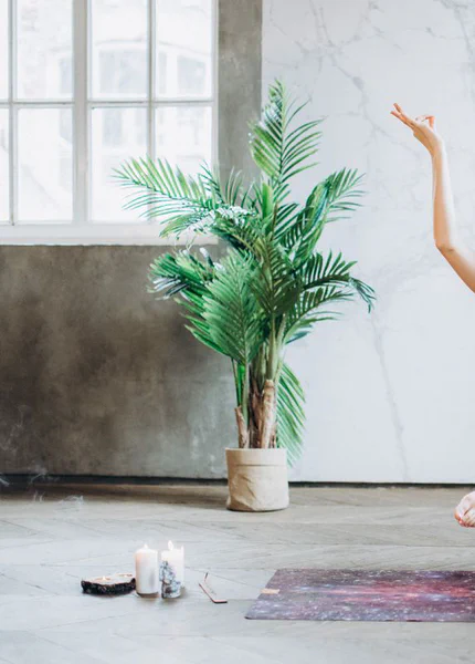 Expert content, published on schedule